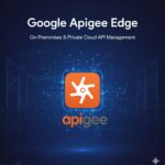 Apigee on premise